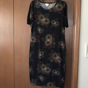 Lularoe Julia dress